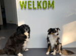 Welkom bij ons